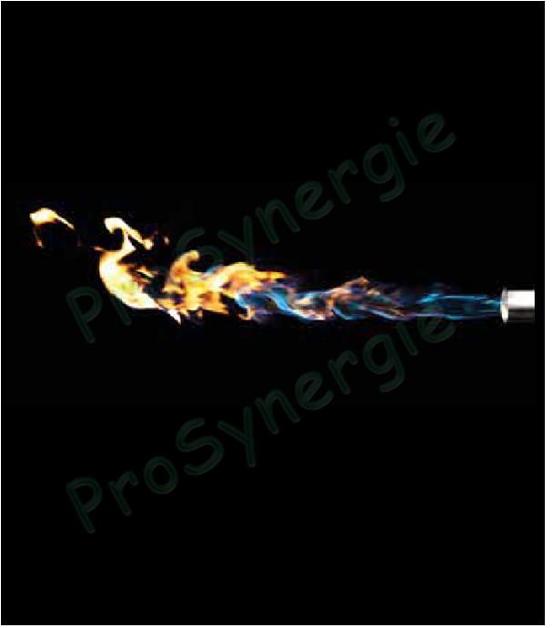 Gamme de Lances et brûleurs Sievert Promatic avec fixation baïonnette